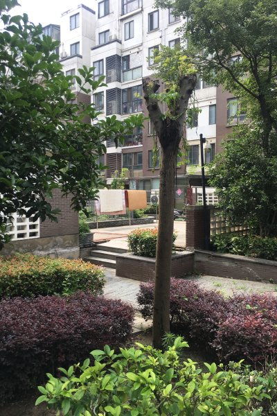 左邻右里 别墅 优点 不足,左邻右里 别墅 怎么样,左邻右里 别墅 周边房产中介经纪人评价