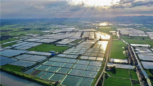 江苏常州金坛 黑科技 赋能水产养殖 龙头产业助力共同致富