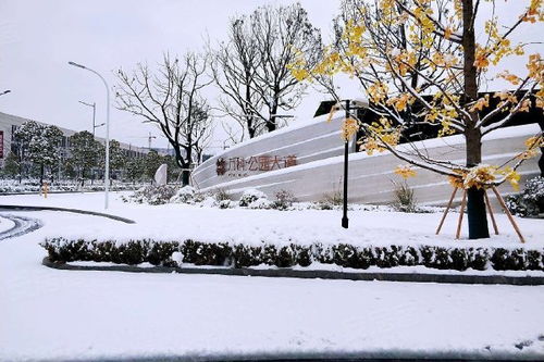 万科公园大道优点 不足,万科公园大道怎么样,万科公园大道周边房产中介经纪人评价