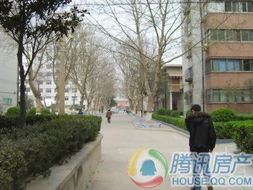 化工厂家属院 楼盘详情 郑州腾讯房产