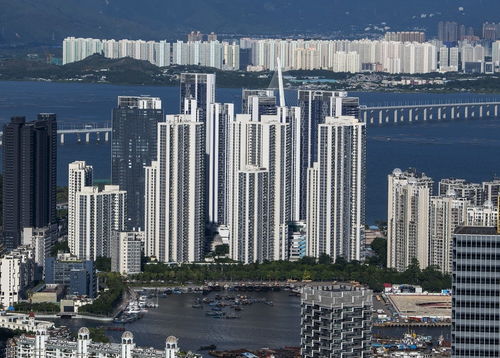 昔日雨中排队选房,今天直降280万成交 深圳网红盘成法拍房仍遇冷