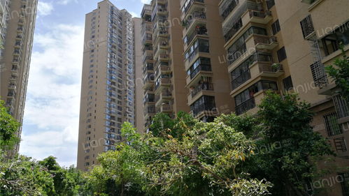 禹洲大学城房产综合分析 从房价、房源到交通与生活配套