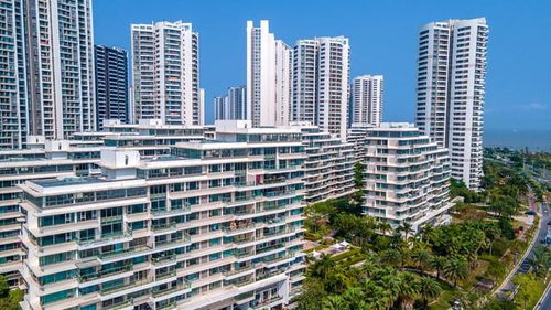 横琴全面取消商品住房限购，网友神回复笑翻全场